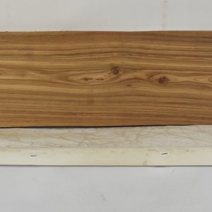KIAAT1366_1