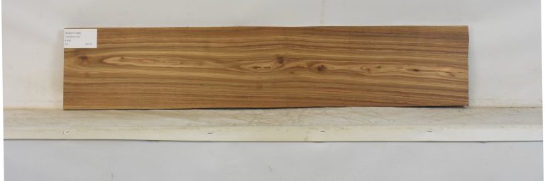 KIAAT1366_1