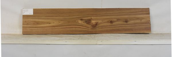 KIAAT1366_2