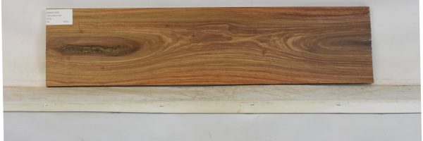 KIAAT1367_1
