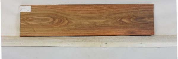 KIAAT1367_2
