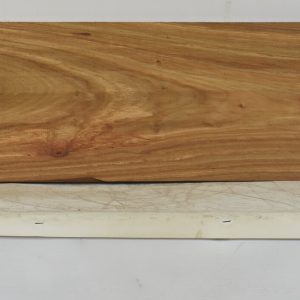 KIAAT1368_1