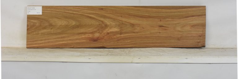KIAAT1368_1