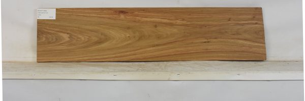 KIAAT1368_2