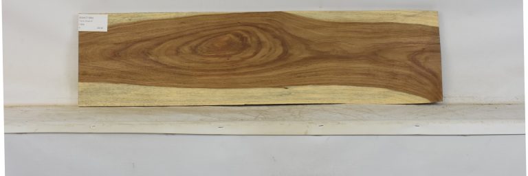 KIAAT1369_1