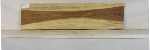 KIAAT1370_1