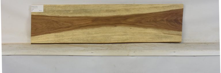 KIAAT1370_1