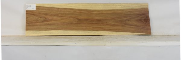 KIAAT1370_2