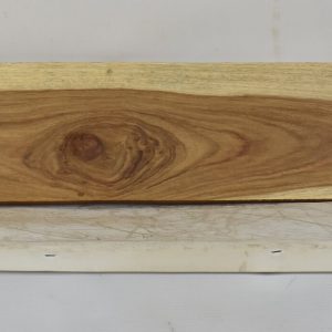 KIAAT1371_1