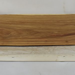 KIAAT1372_1