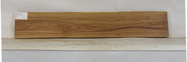 KIAAT1372_1