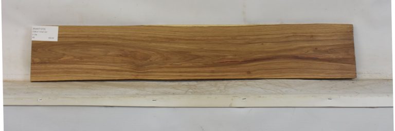 KIAAT1372_1