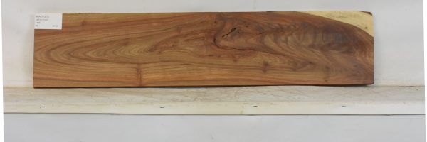 KIAAT1373_1
