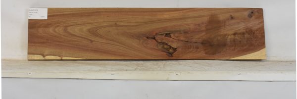 KIAAT1373_2