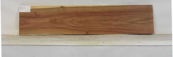 KIAAT1374_2