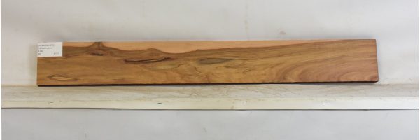TEAKZAM1379_1