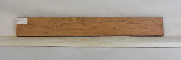 TEAKZAM1383_2