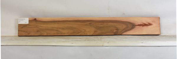 TEAKZAM1393_1
