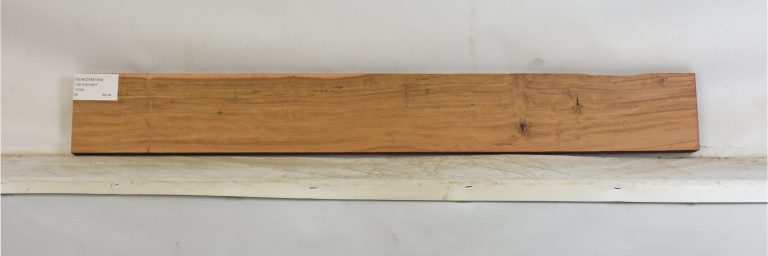 TEAKZAM1394_1