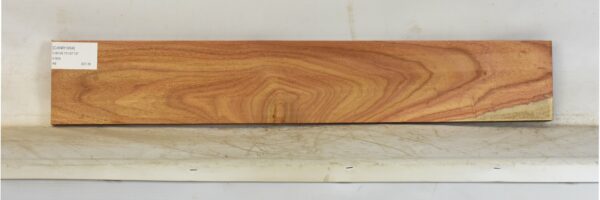 CANR1004_1