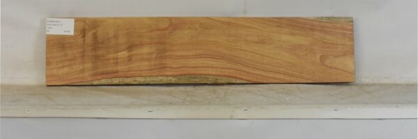 CANR1007_2