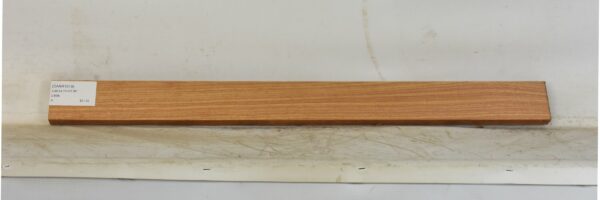 CANR1019_1
