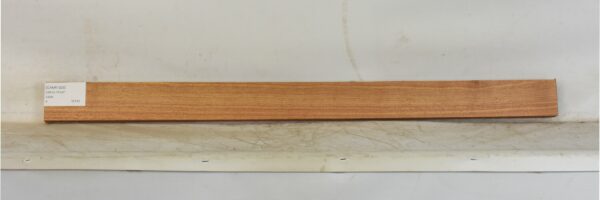 CANR1025_1