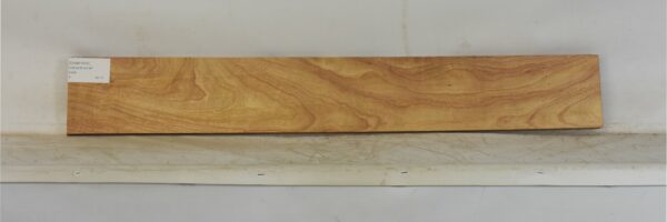 CANR1029_1