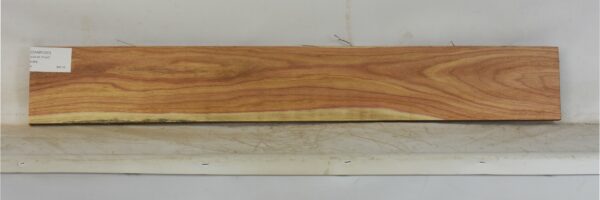CANR1031_1