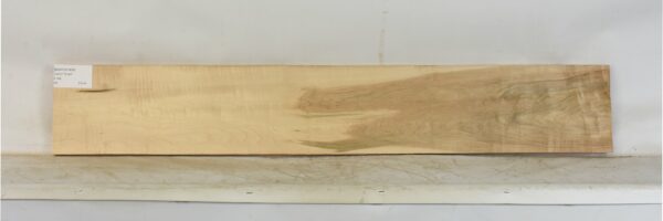 MAPCS1424_2