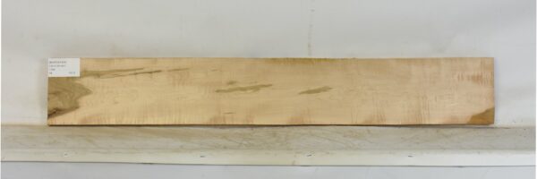 MAPCS1434_2