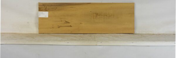 PICN1040_2