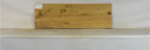 PICN1041_2