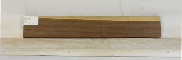 PICN1059_1