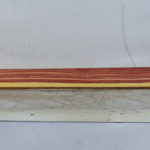 TULP1640_1