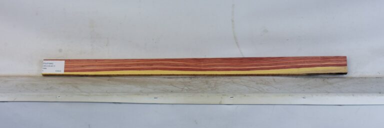 TULP1640_1
