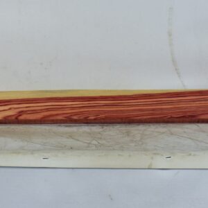 TULP1644_1