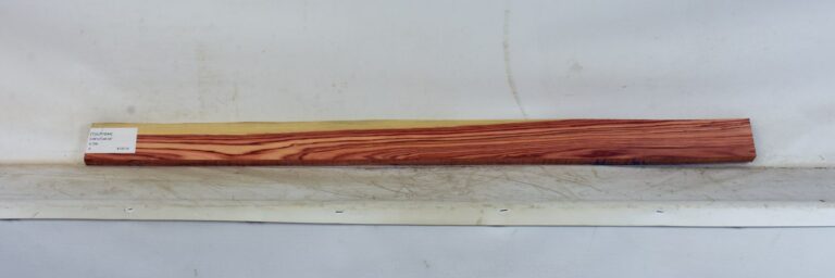 TULP1644_1