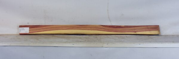 TULP1646_1