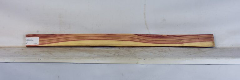 TULP1646_1