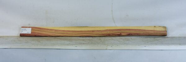 TULP1646_2