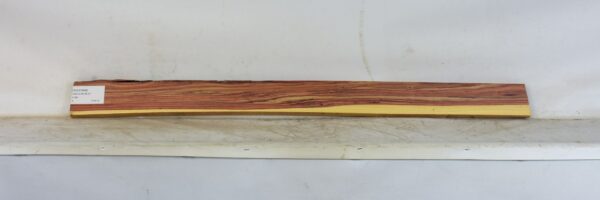 TULP1648_1
