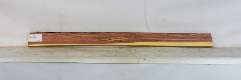 TULP1648_1