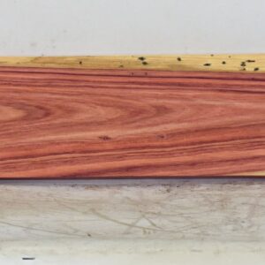 TULP1656_1