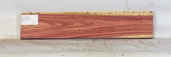 TULP1656_1