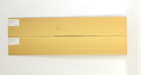 SATEIGS1252_1