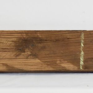 ZEB1482_1