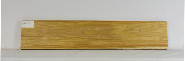 Canarywood 15 CANAR1349_1