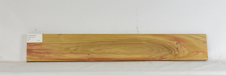 Canarywood 4 CANAR1360_1