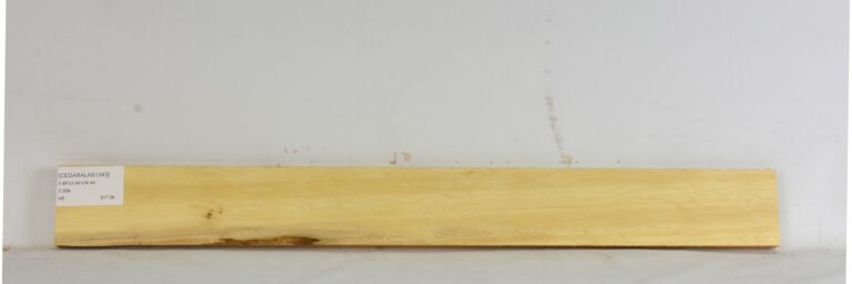 Cedar - Alaskan 11 CEDARALAS1343_1